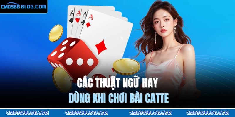 Các thuật ngữ hay dùng khi chơi bài Catte 
