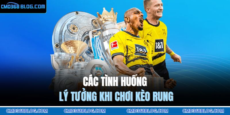 Các tình huống lý tưởng khi chơi kèo rung