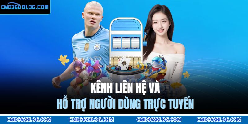 Trang chủ 31 Kênh liên hệ và hỗ trợ người dùng trực tuyến